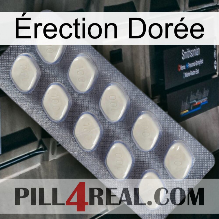 Érection Dorée 08